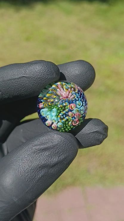 Coral Reef Glass Marble Set | 25mm Glass Marbles | Handblown Borosilicate Glass | Collectible Functional Glass